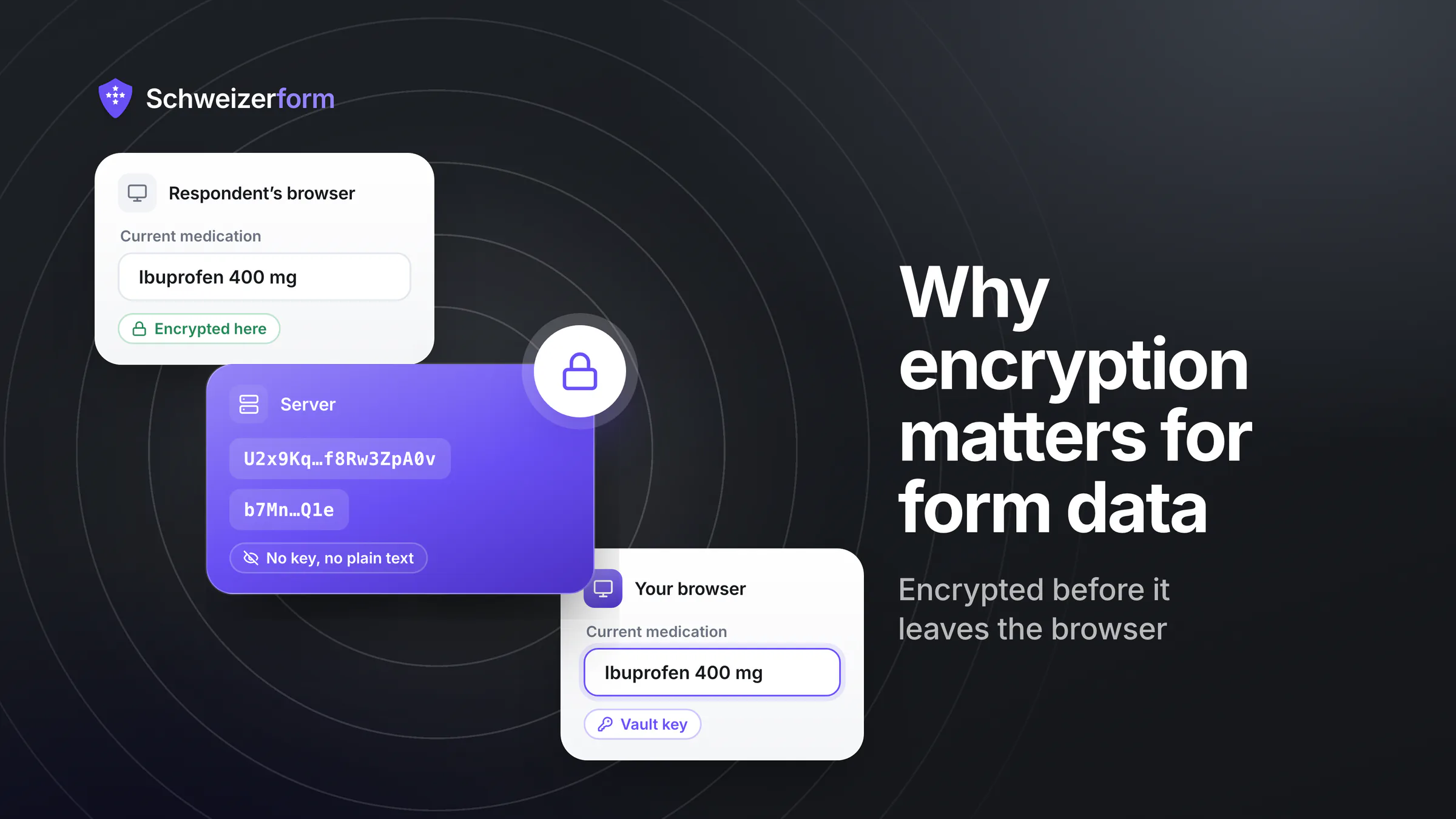 Why Encryption Matters for Form Data